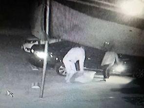 老板吃瓜套路视频,揭秘职场“瓜田”背后的真相