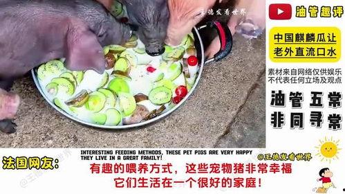 外国人吃麒麟瓜视频大全,外国人品尝麒麟瓜视频大盘点