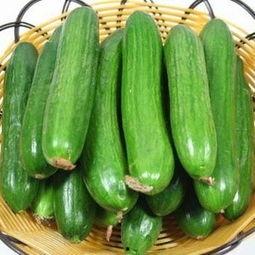 小乳瓜能当黄瓜吃吗视频,替代黄瓜的新选择？