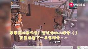 吃瓜游戏长视频解说,揭秘热门游戏背后的趣味与真相