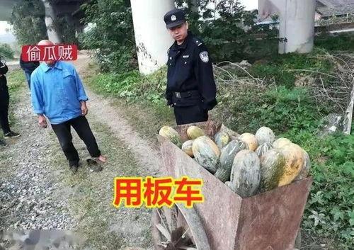 韩城三星村吃瓜事件视频,一场引发热议的乡村奇观