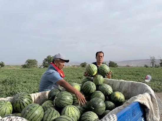 临夏三道桥回族吃瓜视频,临夏三道桥回族特色吃瓜文化探秘