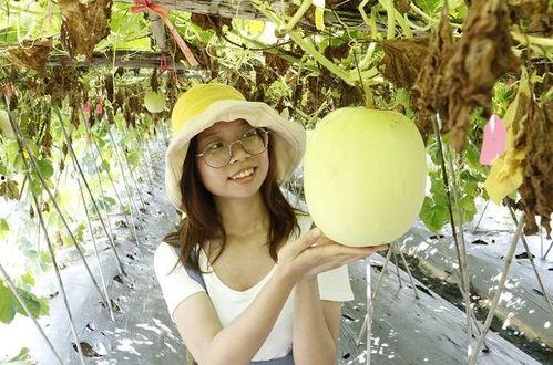 广东佛山吃瓜事件视频,一场网络热议的社区冲突揭秘