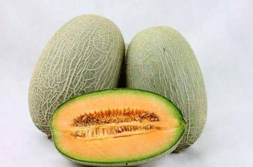 新疆动物吃哈密瓜视频大全,动物们的味蕾狂欢