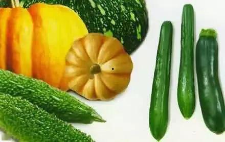 种瓜吃瓜卖瓜子视频,种瓜吃瓜，瓜籽也能卖个好价钱