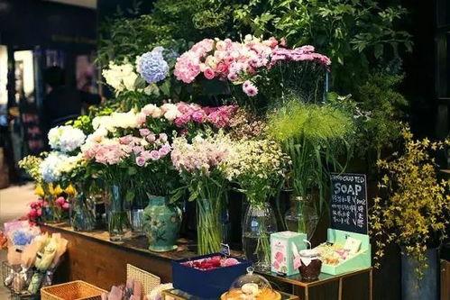 温州花店吃瓜视频播放,揭秘花店日常趣事