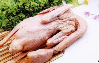 吃瓜鹅组全部视频,揭秘娱乐圈幕后故事，带你领略明星真实生活