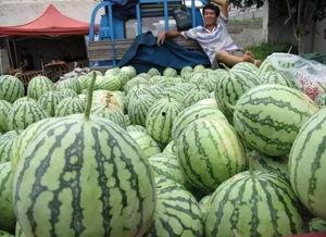 吃瓜群众崩溃的视频,视频记录惊人一幕